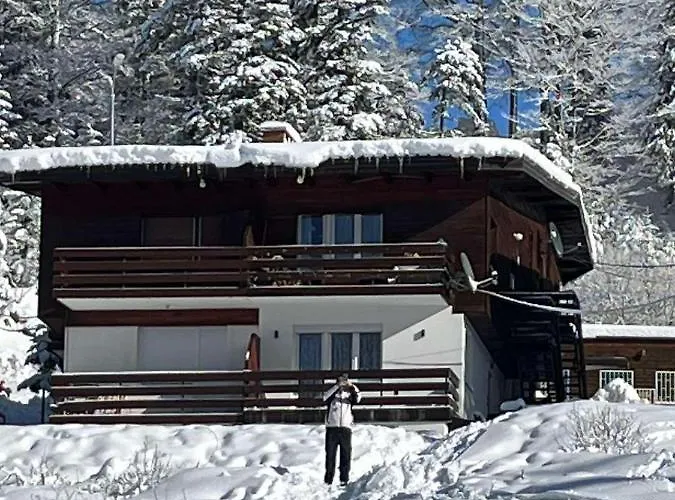 Sigma * 亚霍里纳